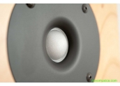 Altavoces Chario Syntar 530