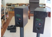 Altavoces Rega RS1