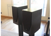 Altavoces Rega RS1