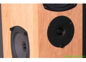Altavoces Rega RS3