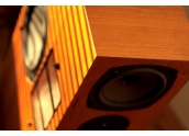 Altavoces Rega RS7