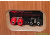 Altavoces Rega RS7