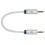 iFi Audio 4.4mm to 4.4mm