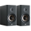 Polk Audio Reserve R100