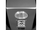 Altavoces Wilson Audio Duette 2