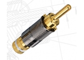 Conector WBT 0600