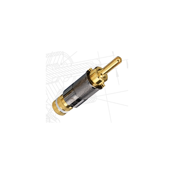Conector WBT 0600
