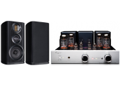 Cayin CS55A + Wharfedale...