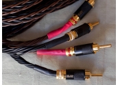 Conector WBT 0644