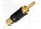 Conector WBT 0644