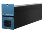 BlueSound B170S