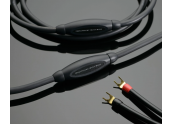 Transparent Music Wave MW GEN6