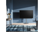 Loewe Bild V.55 | TV 4K 60411D11 - Oferta Comprar Loewe Bild V.55 | TV 4K 60411D11 - Oferta Comprar
