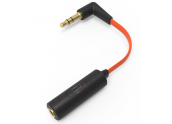 IFi Ear Buddy