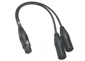 Moon XLR Bridge