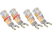 WBT 0681 Cu