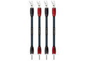 AudioQuest ThunderBird...