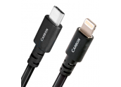AudioQuest Carbon USB...