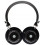 Grado GW100x