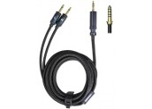 FiiO LL-RC 2024