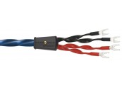 WireWorld Oasis 10 - OAB...