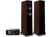 Eversolo Play + Wharfedale...
