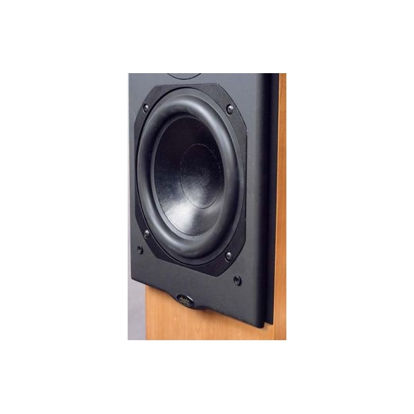 Chario Hiper 1000 MKII Altavoz estanteria. 2 vias, puerto reflex inferior. 4 ohm