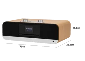 Roberts Blutune 300L