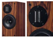 ProAc Response D20R