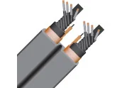 WireWorld Silver Electra 10 - SEP | Cale de corriente