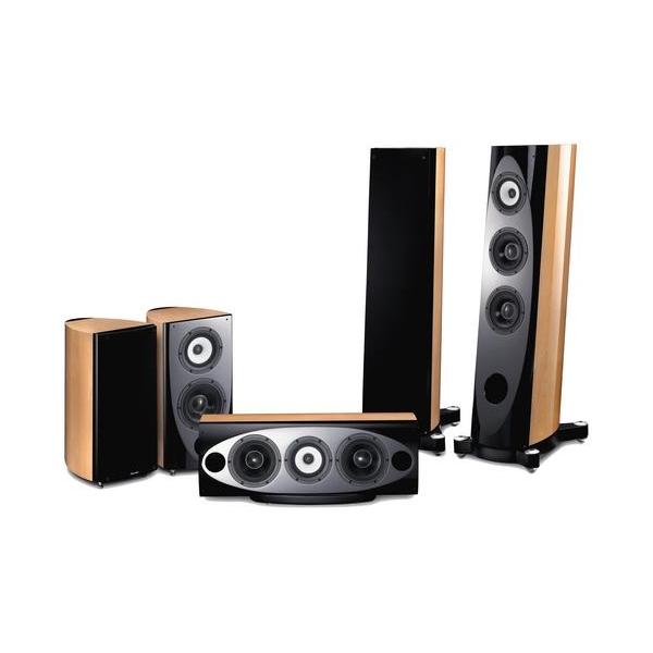 Pioneer S-V1EX-QL