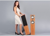Altavoces Tannoy Mercury V4
