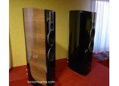 Altavoces Dali Epicon 6