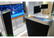 Altavoces Loewe Reference Sound Standspeaker Slim