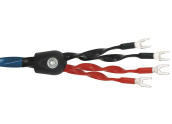 WireWorld Oasis 8 - OAB Cable Altavoz