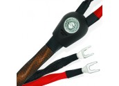 WireWorld Eclipse 8 - ECS...