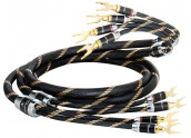 Vincent Single Speaker Cable