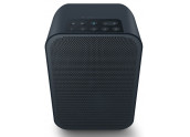 BlueSound Pulse Flex 2i