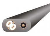 WireWorld Silver Starlight