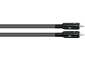 Wireworld Equinox 6