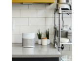 Bose Home Speaker 300