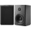 Dynaudio Xeo 10