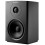 Dynaudio Xeo 10
