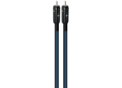 Wireworld  Oasis 6