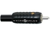Wireworld  Oasis 6