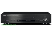 Reproductor Audio en Red Yamaha CD-N500 CDN500