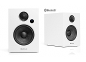 Altavoces Bluetooth AudioPro Addon T12