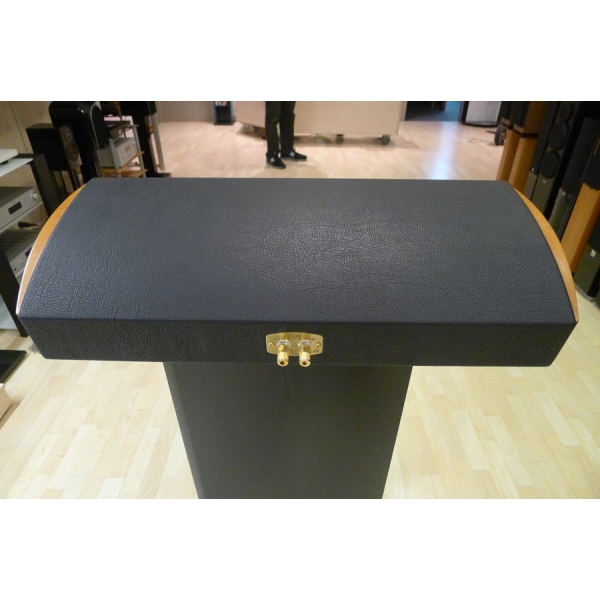 Altavoz Sonus Faber Domus Center