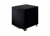 REL R218 Subwoofer 200 w. Altavoz de 254 mm. Recinto cerrado.  Conexión RCA. Var