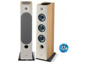 Focal Chora 806D Atmos